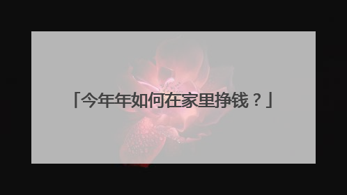 今年年如何在家里挣钱?