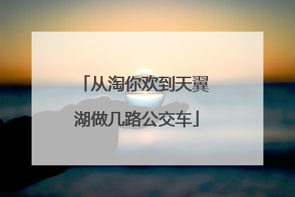 从淘你欢到天翼湖做几路公交车