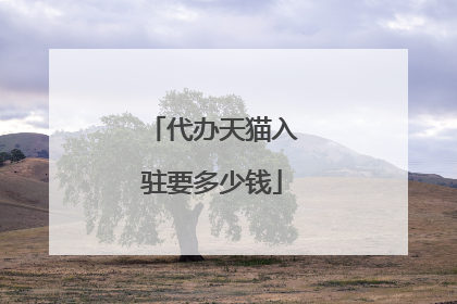 代办天猫入驻要多少钱