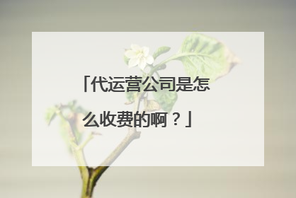 代运营公司是怎么收费的啊?