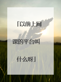 以前上网课的平台叫什么呀