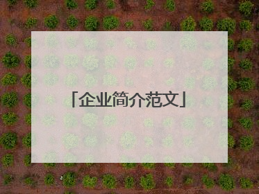 企业简介范文