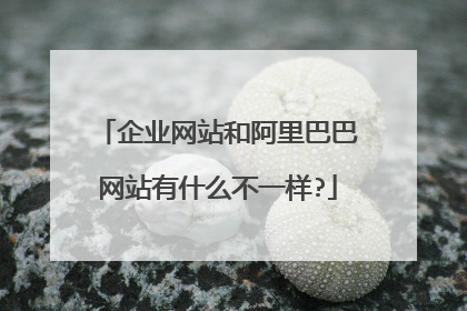 企业网站和阿里巴巴网站有什么不一样?