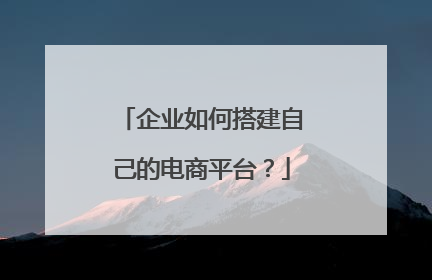 企业如何搭建自己的电商平台?