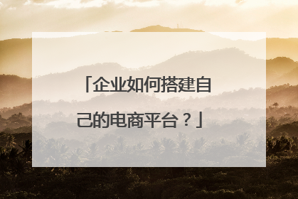 企业如何搭建自己的电商平台?