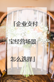企业支付宝经营场景怎么选择