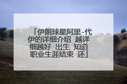 伊朗球星阿里-代伊的详细介绍 越详细越好 出生 知道职业生涯结束 还