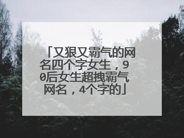 又狠又霸气的网名四个字女生，90后女生超拽霸气网名，4个字的