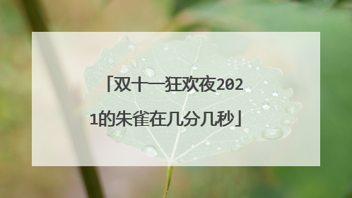 双十一狂欢夜2021的朱雀在几分几秒