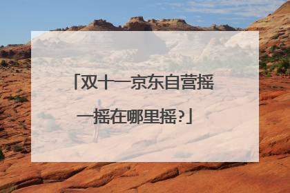 双十一京东自营摇一摇在哪里摇?