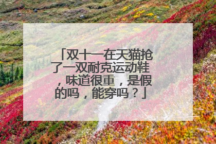 双十一在天猫抢了一双耐克运动鞋,味道很重,是假的吗,能穿吗?