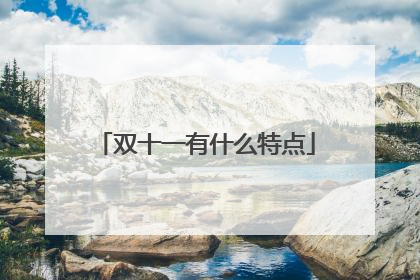 双十一有什么特点