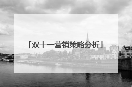 双十一营销策略分析