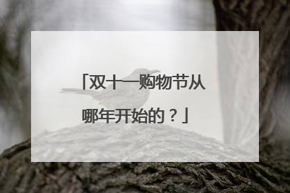 双十一购物节从哪年开始的？