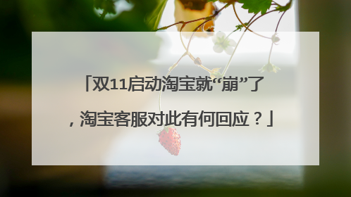 双11启动淘宝就“崩”了,淘宝客服对此有何回应?