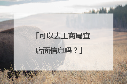 可以去工商局查店面信息吗?