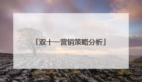 双十一营销策略分析
