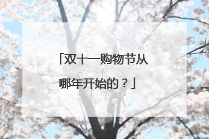 双十一购物节从哪年开始的?