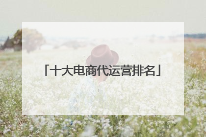 十大电商代运营排名