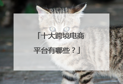 十大跨境电商平台有哪些？