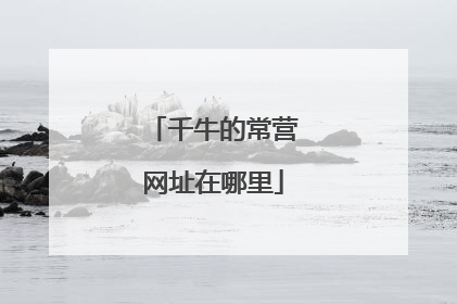 千牛的常营网址在哪里