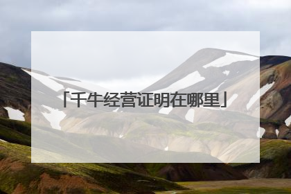 千牛经营证明在哪里