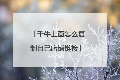 千牛上面怎么复制自己店铺链接