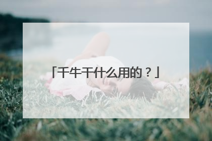 千牛干什么用的?