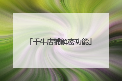 千牛店铺解密功能