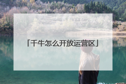 千牛怎么开放运营区