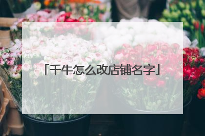 千牛怎么改店铺名字