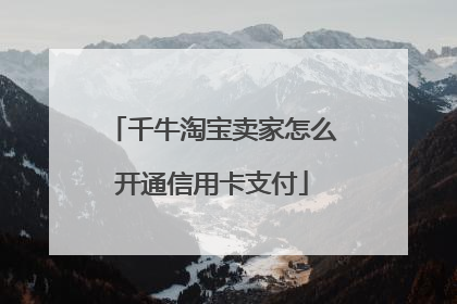 千牛淘宝卖家怎么开通信用卡支付