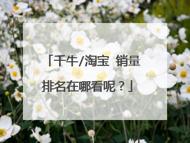 千牛/淘宝 销量排名在哪看呢?