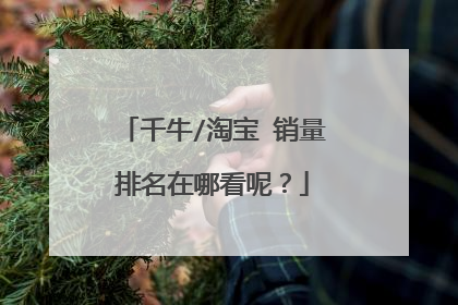 千牛/淘宝 销量排名在哪看呢？