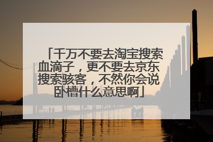 千万不要去淘宝搜索血滴子，更不要去京东搜索骇客，不然你会说卧槽什么意思啊
