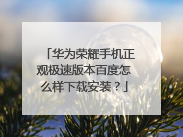 华为荣耀手机正观极速版本百度怎么样下载安装?