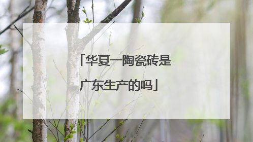 华夏一陶瓷砖是广东生产的吗