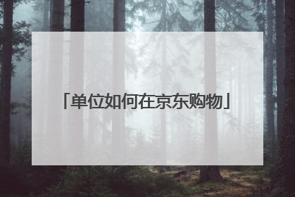 单位如何在京东购物