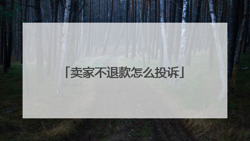 卖家不退款怎么投诉