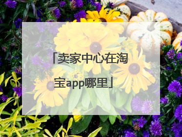 卖家中心在淘宝app哪里