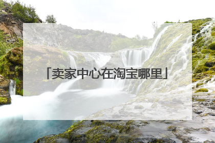 卖家中心在淘宝哪里