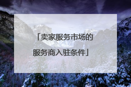 卖家服务市场的服务商入驻条件
