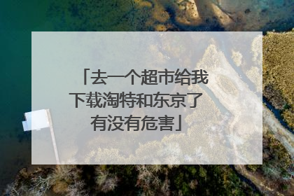 去一个超市给我下载淘特和东京了有没有危害