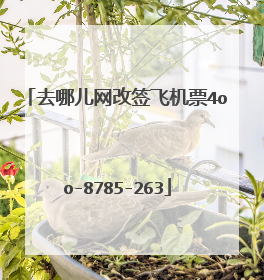 去哪儿网改签飞机票4oo-8785-263