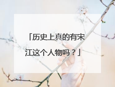 历史上真的有宋江这个人物吗?