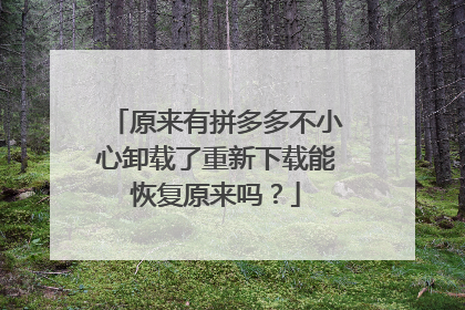 原来有拼多多不小心卸载了重新下载能恢复原来吗?