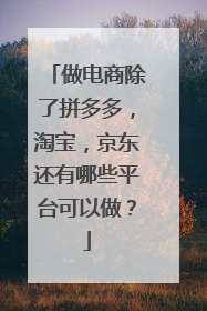 做电商除了拼多多,淘宝,京东还有哪些平台可以做?