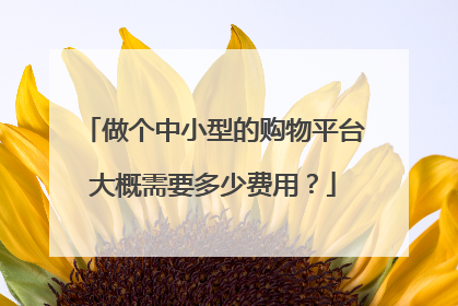 做个中小型的购物平台大概需要多少费用?