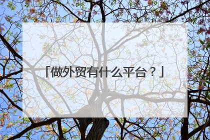 做外贸有什么平台?