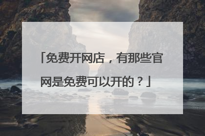 免费开网店，有那些官网是免费可以开的？